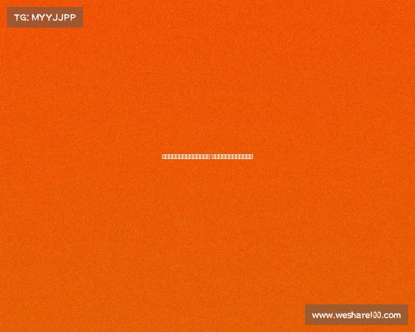 德甲新赛季开赛倒计时热血开启 球迷激情等待足球盛宴到来